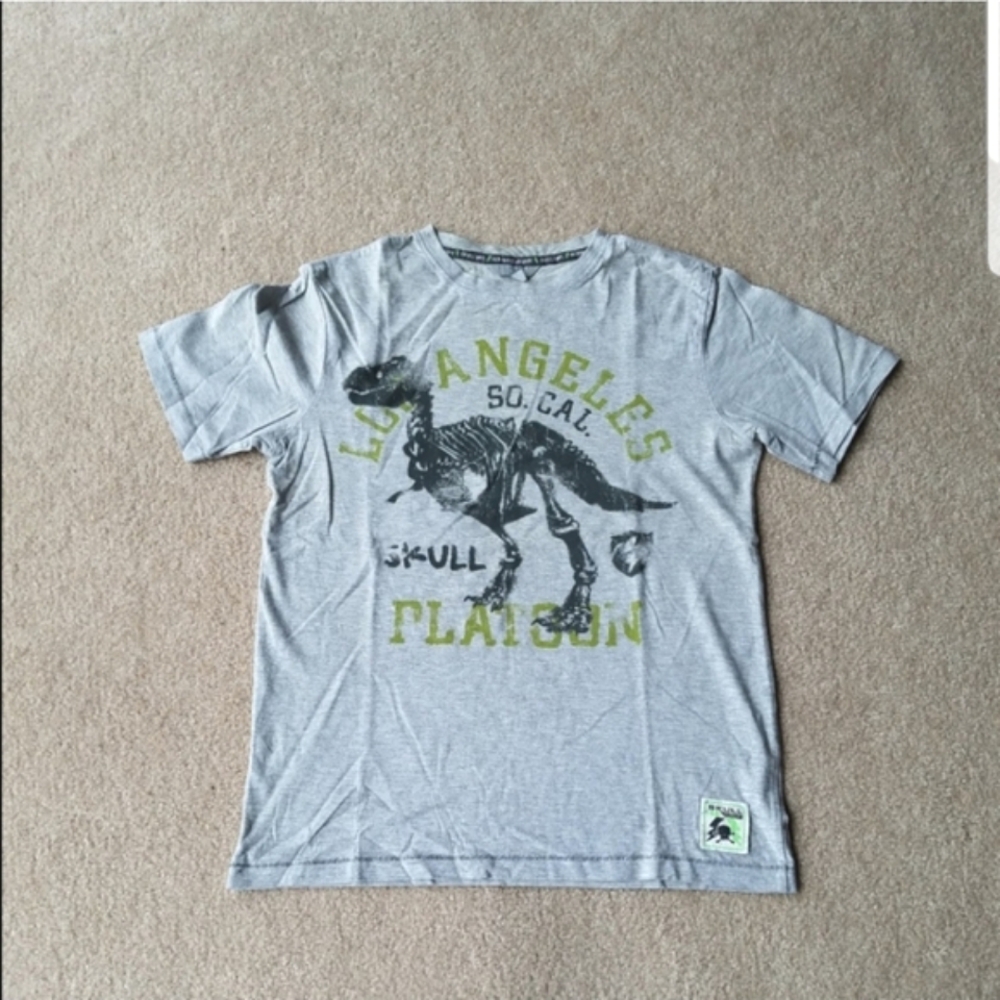 Boys Grey Dinosaur Short Sleeve T-shirt size 13-14